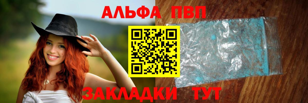 Альфа ПВП СК Сосновый Бор