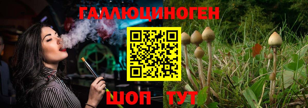 Галлюциногенные грибы GOLDEN TEACHER  Вход с VPN  Псилоцибиновые грибы прущие грибы  Сосновый Бор 
